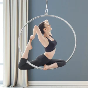 Aerial Hoop Ring Set